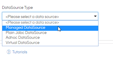 Adhoc Datasource2