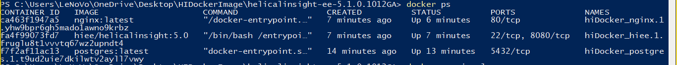 Helical Insight Version 5.0 : Support For Docker