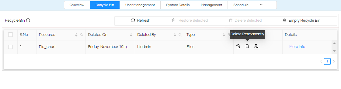 Recycle Bin : Permanent Deletion and Recovery
