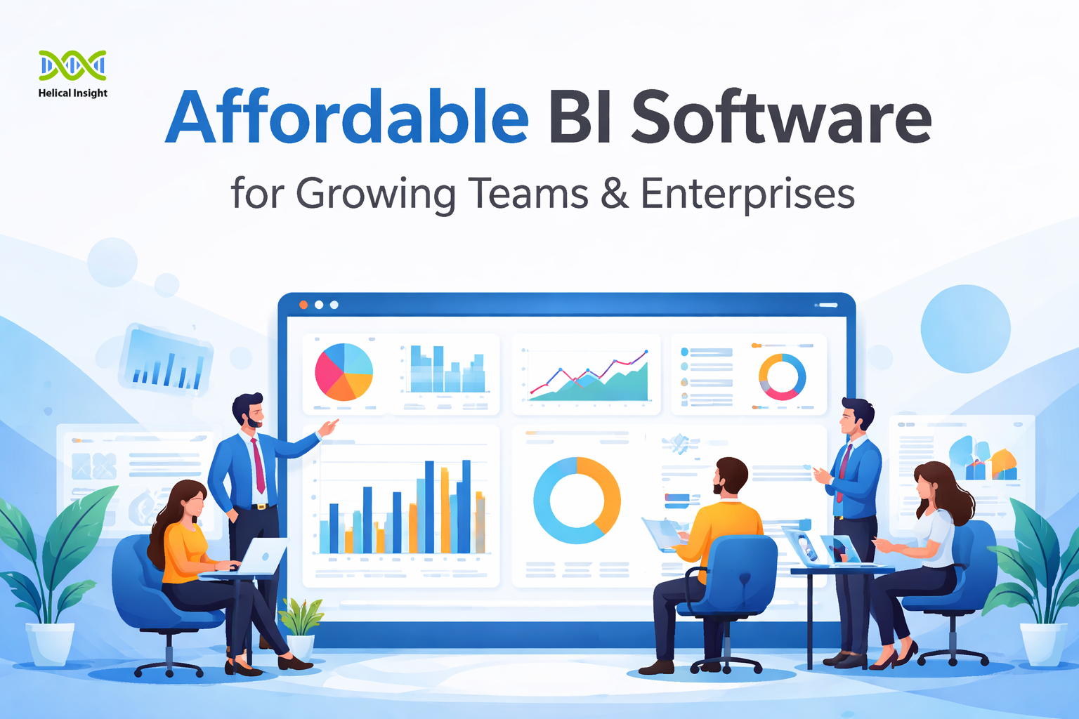 Affordable BI Software