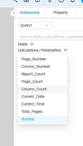 Creating custom Input Filter to pass value and display in canned report