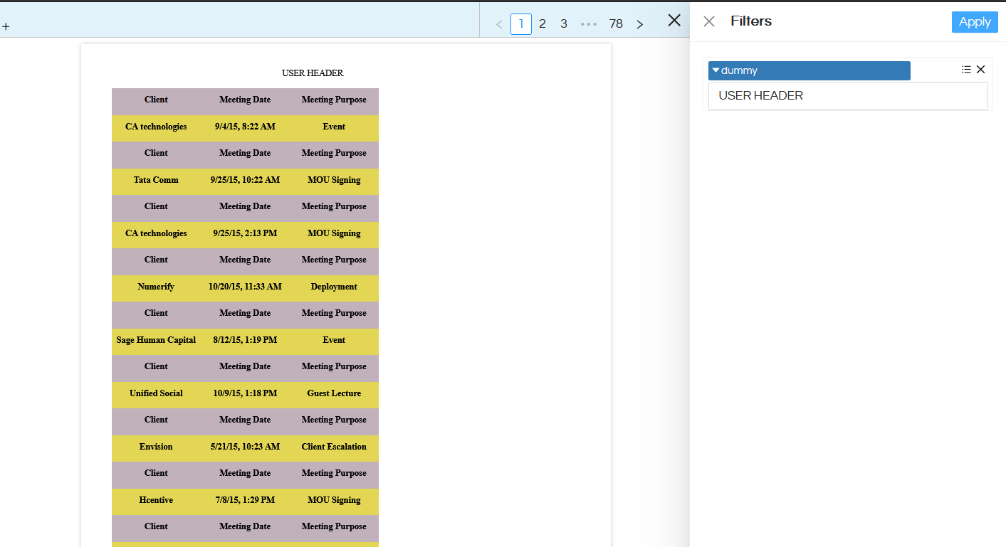 Creating custom Input Filter to pass value and display in canned report