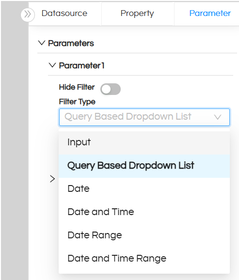Input parameters / Filter Types: Canned Report