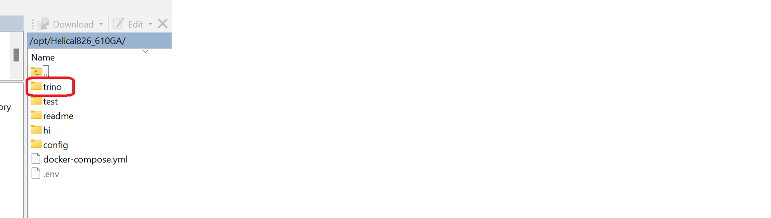 Installing and Configuring Trino in Helical Insight Docker Version