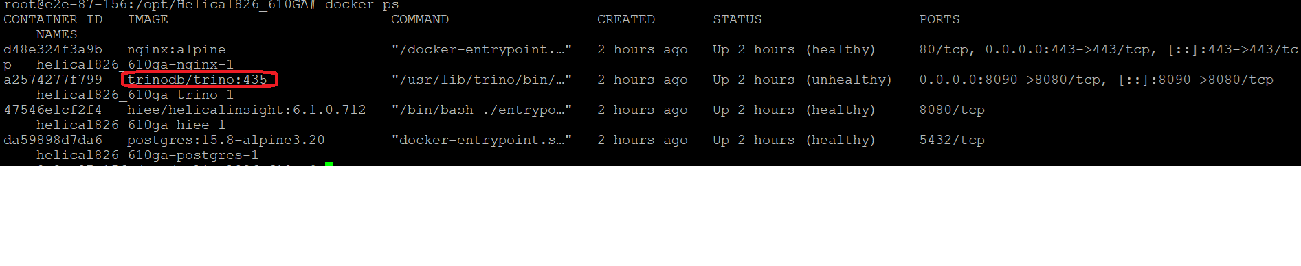 Installing and Configuring Trino in Helical Insight Docker Version