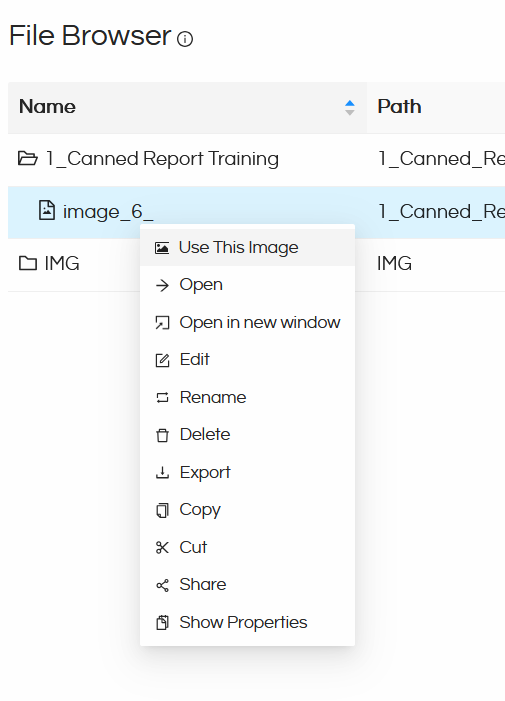 Using Image component in Canned Reporting