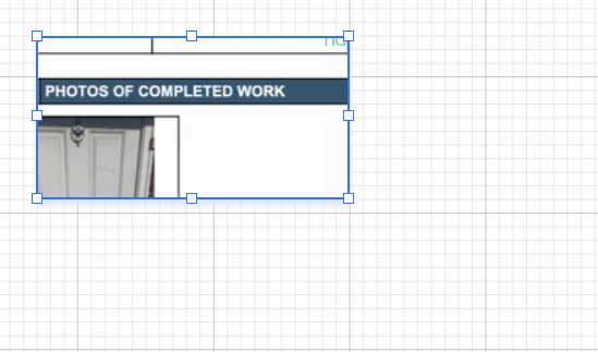 Using Image component in Canned Reporting