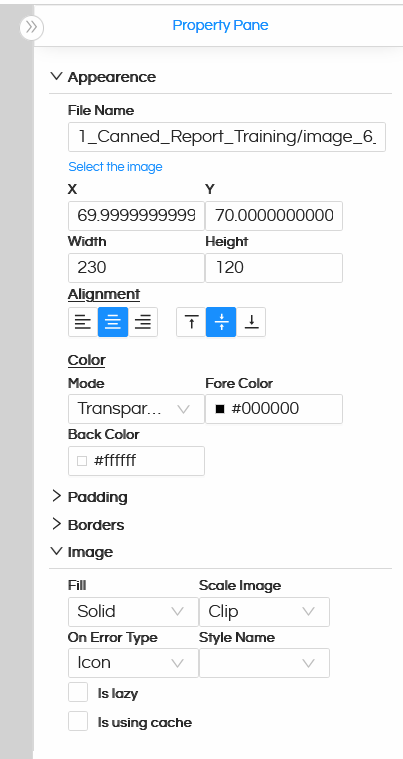 Using Image component in Canned Reporting