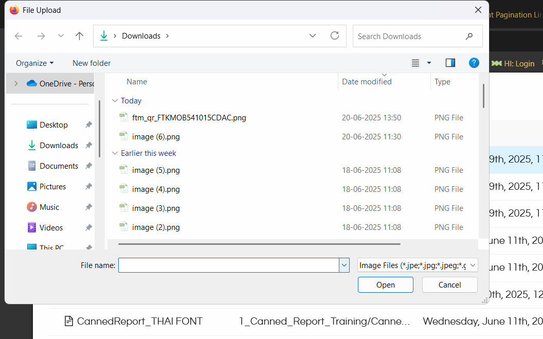 Using Image component in Canned Reporting