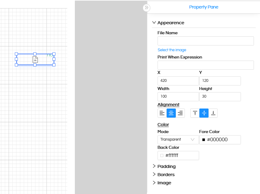 Using Image component in Canned Reporting