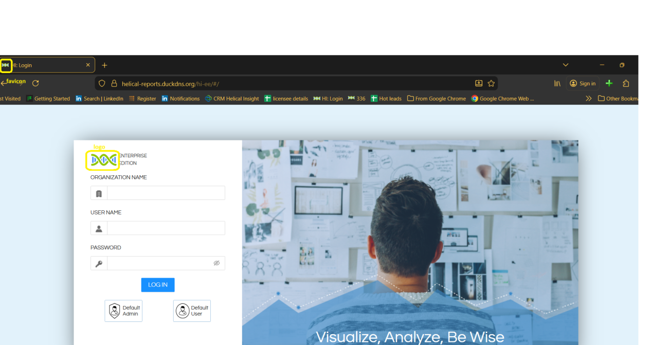 White labeling : Helical Insight v 5.0+